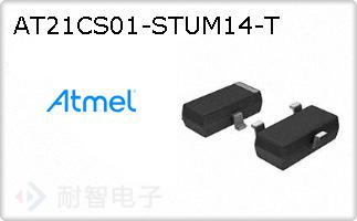 AT21CS01-STUM14-T