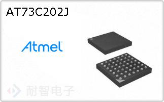 AT73C202J