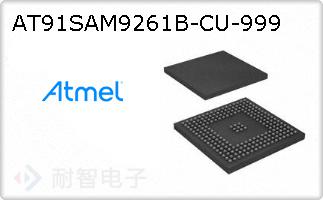 AT91SAM9261B-CU-999