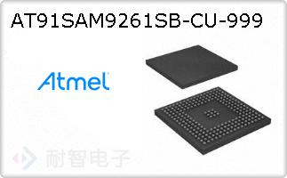 AT91SAM9261SB-CU-999