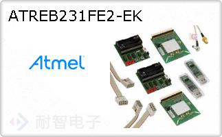 ATREB231FE2-EK