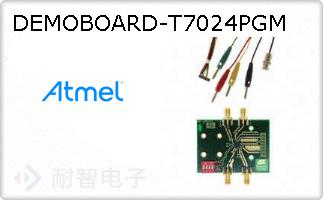 DEMOBOARD-T7024PGMͼƬ