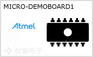 MICRO-DEMOBOARD1