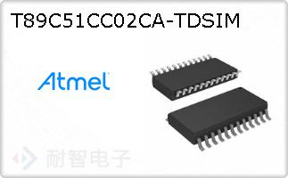 T89C51CC02CA-TDSIM