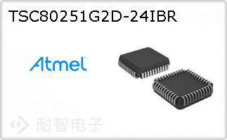TSC80251G2D-24IBR