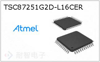 TSC87251G2D-L16CER