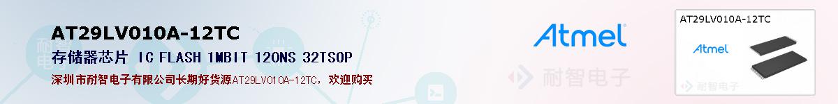 AT29LV010A-12TCıۺͼ