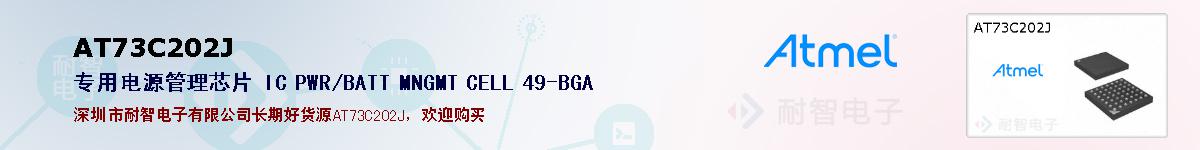 AT73C202Jıۺͼ