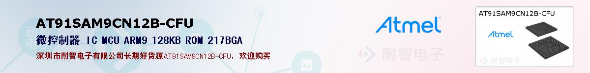 AT91SAM9CN12B-CFUıۺͼ