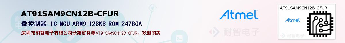 AT91SAM9CN12B-CFURıۺͼ