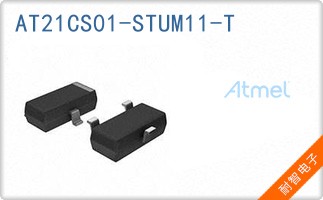AT21CS01-STUM11-T