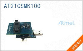 AT21CSMK100