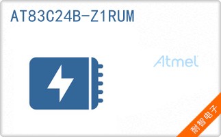 AT83C24B-Z1RUM