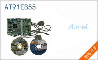 AT91EB55