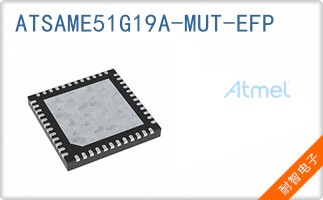 ATSAME51G19A-MUT-EFP