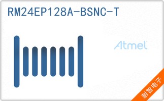 RM24EP128A-BSNC-T