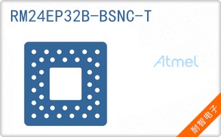 RM24EP32B-BSNC-T
