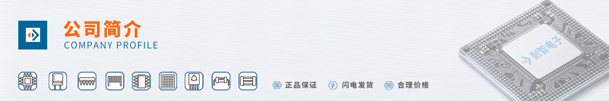 ATMEL(����÷��)��˾����