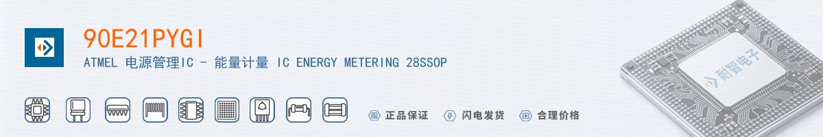 90E21PYGI������