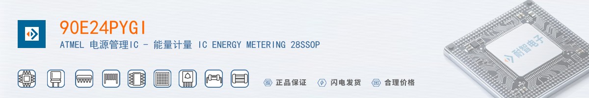 90E24PYGI������