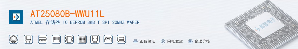 AT25080B-WWU11L������