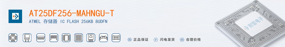 AT25DF256-MAHNGU-T������