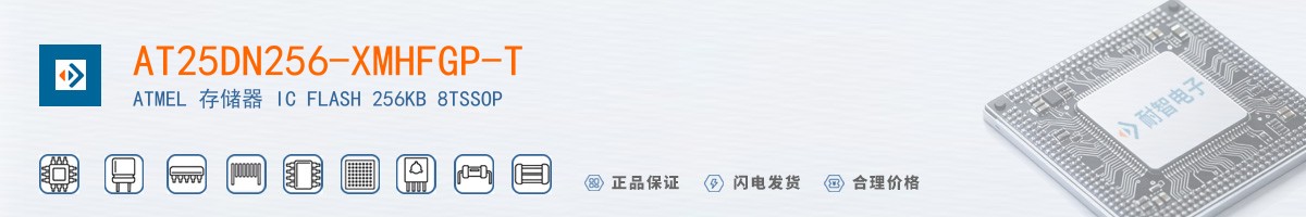 AT25DN256-XMHFGP-T������
