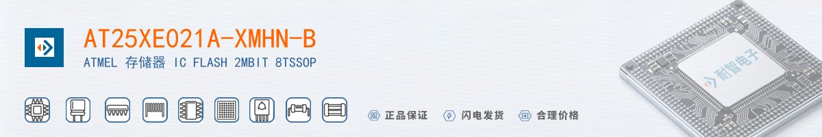 AT25XE021A-XMHN-B������