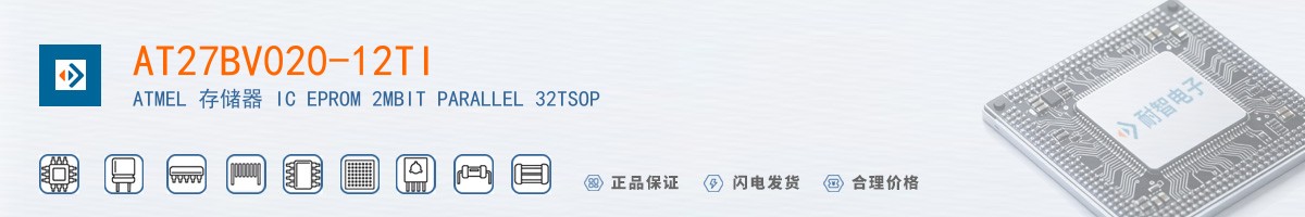 AT27BV020-12TI������