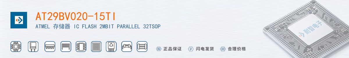AT29BV020-15TI������