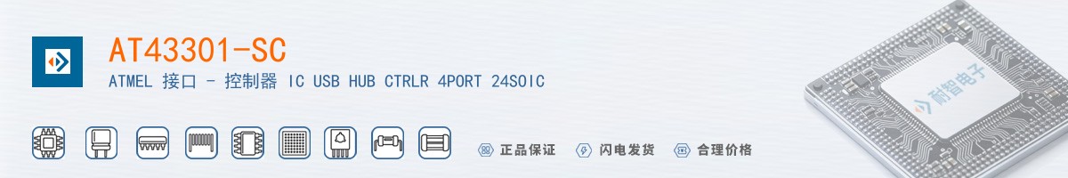 AT43301-SC������