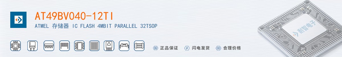 AT49BV040-12TI������