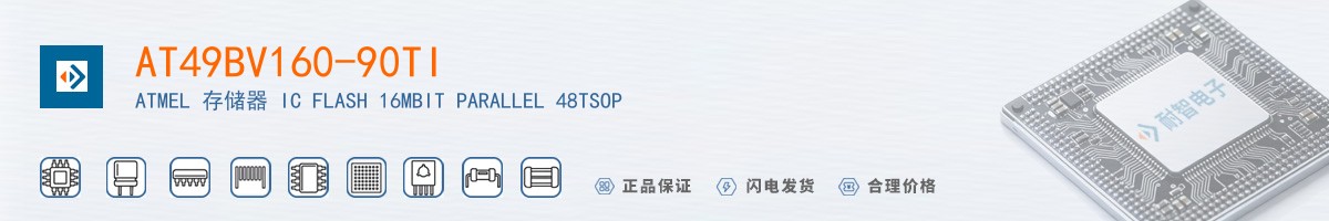 AT49BV160-90TI������