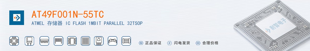 AT49F001N-55TC������
