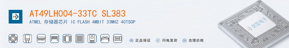 AT49LH004-33TC SL383������