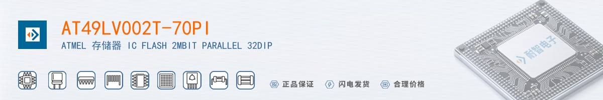 AT49LV002T-70PI������