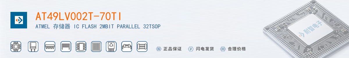 AT49LV002T-70TI������