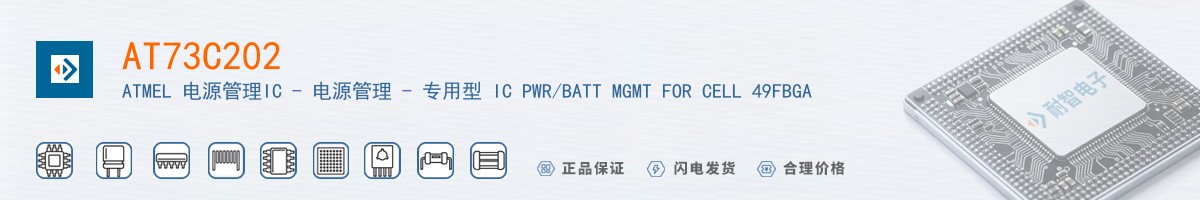 AT73C202������