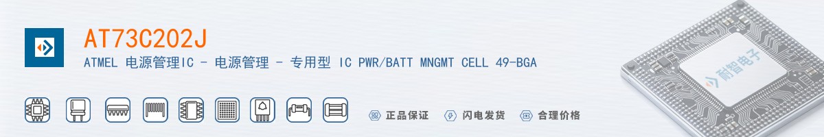 AT73C202J������