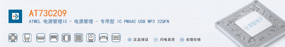 AT73C209������