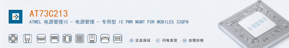 AT73C213������