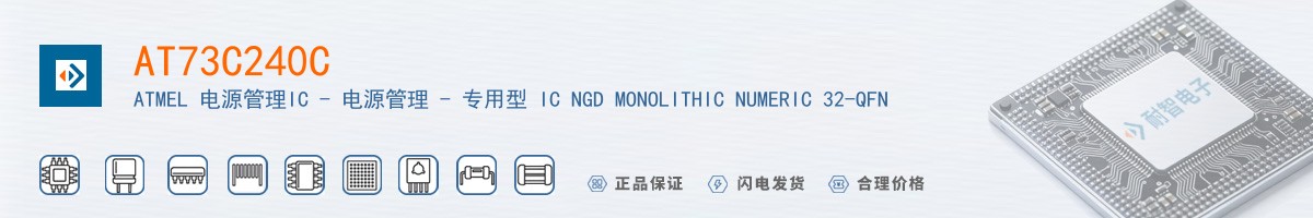 AT73C240C������