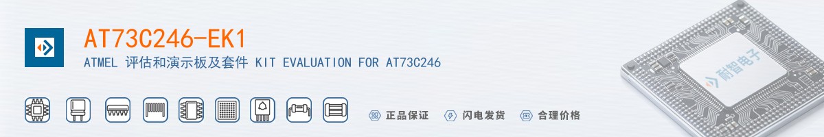 AT73C246-EK1������