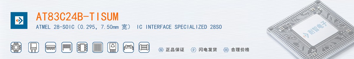 AT83C24B-TISUM������