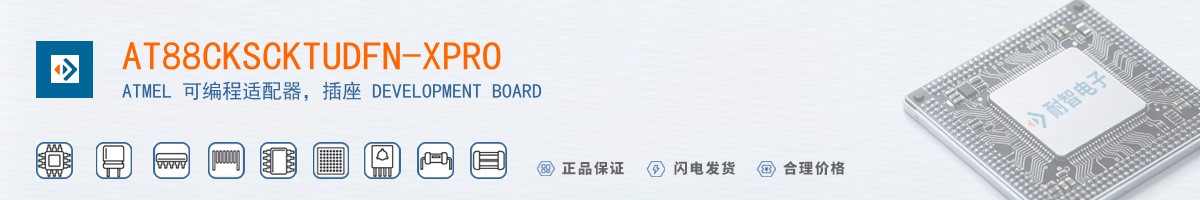 AT88CKSCKTUDFN-XPRO������