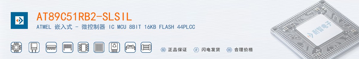 AT89C51RB2-SLSIL������