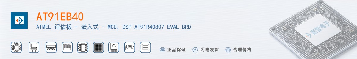 AT91EB40������