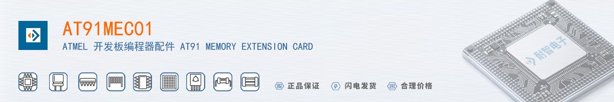 AT91MEC01������