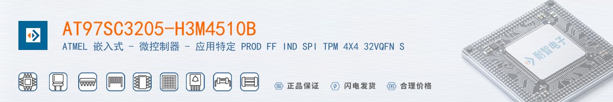 AT97SC3205-H3M4510B������