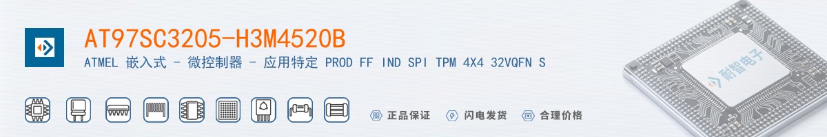 AT97SC3205-H3M4520B������
